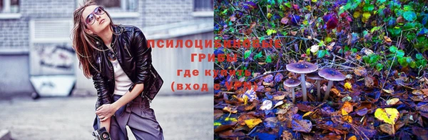 хмурый Липки