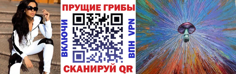 Галлюциногенные грибы прущие грибы  купить закладку  Вязьма 
