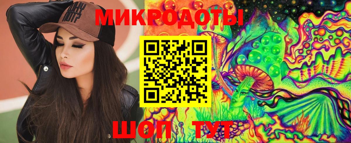 Псилоцибиновые грибы Psilocybe Вязьма